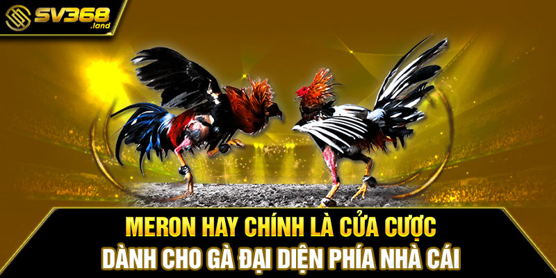 Meron hay chính là cửa cược dành cho gà đại diện phía nhà cái