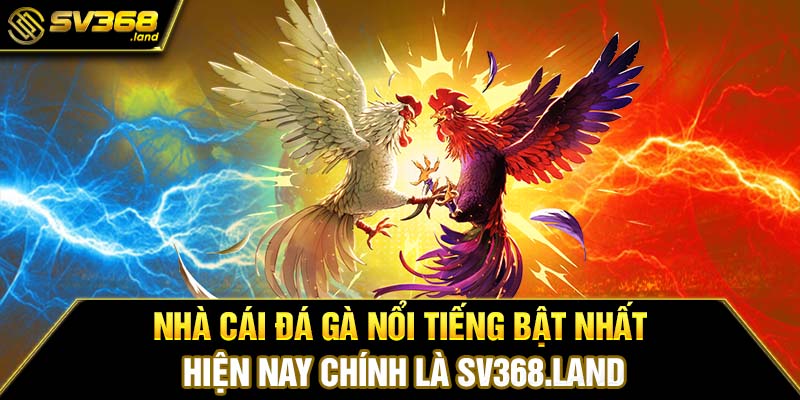 Nhà cái đá gà nổi tiếng bật nhất hiện nay chính là sv368.land